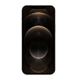 APPLE iPhone 12 Pro Max (Gold, 256 GB)
