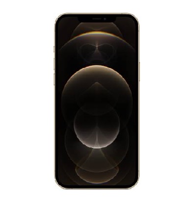 APPLE iPhone 12 Pro Max (Gold, 128 GB)