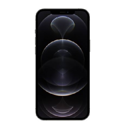 APPLE iPhone 12 Pro Max (Graphite, 128 GB)