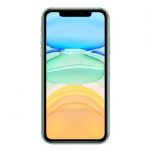 APPLE iPhone 11 (Green, 64 GB)