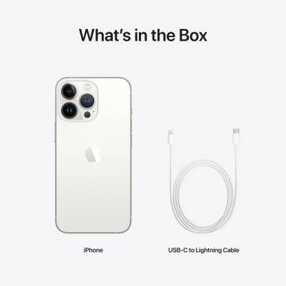 APPLE iPhone 13 Pro Max (Silver, 1 TB) - Image 9