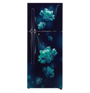 LG 260 L Frost Free Double Door 2 Star Convertible Refrigerator  (Blue Charm, GL-T292RBCY)