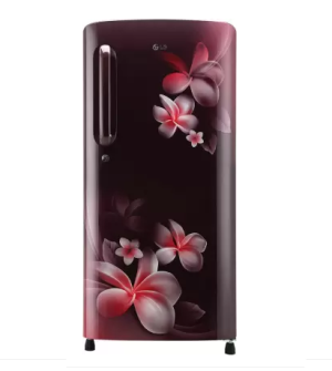LG 190 L Direct Cool Single Door 4 Star Refrigerator (Scarlet Plumeria, GL-B201ASPY)